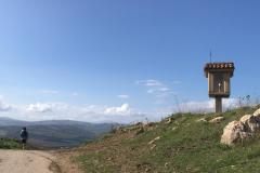 calscibetta-15