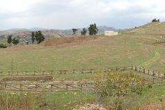 mokarta-salemi