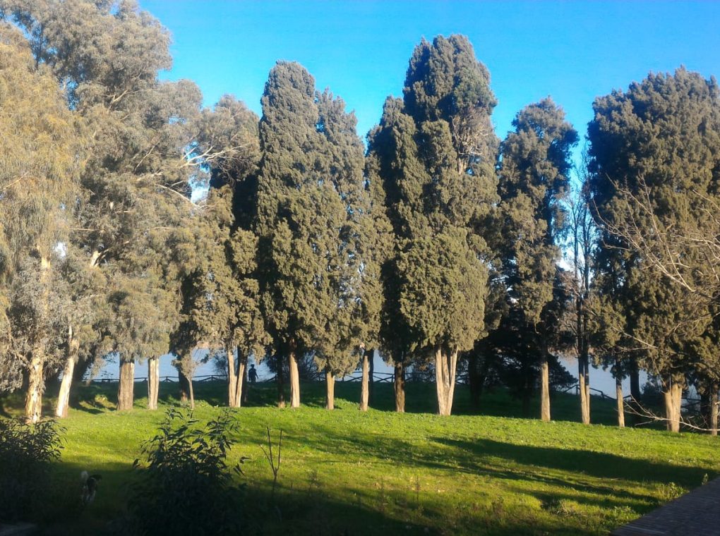 Lago Pergusa trasversale
